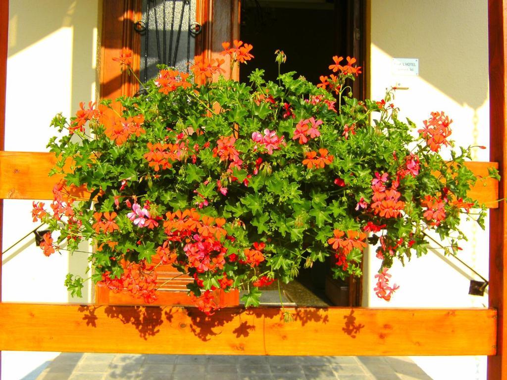 B&B Le Petit Normand Jalhay Exterior photo
